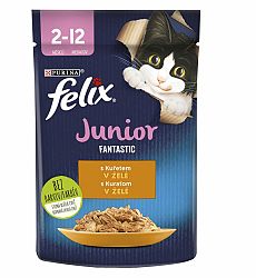 FELIX Fantastic JUNIOR kapsička s kuraťom v želé 85g