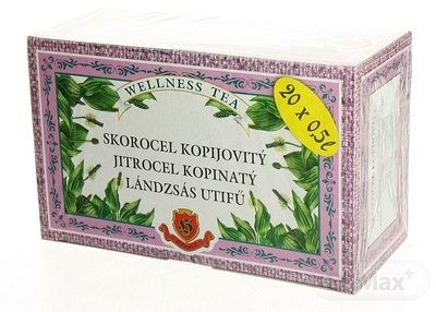 Herbex SKOROCEL KOPIJOVITÝ bylinný čaj 20 x 3 g